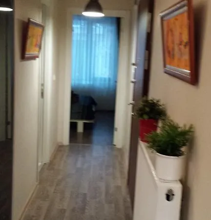 Firuzaga Apartament